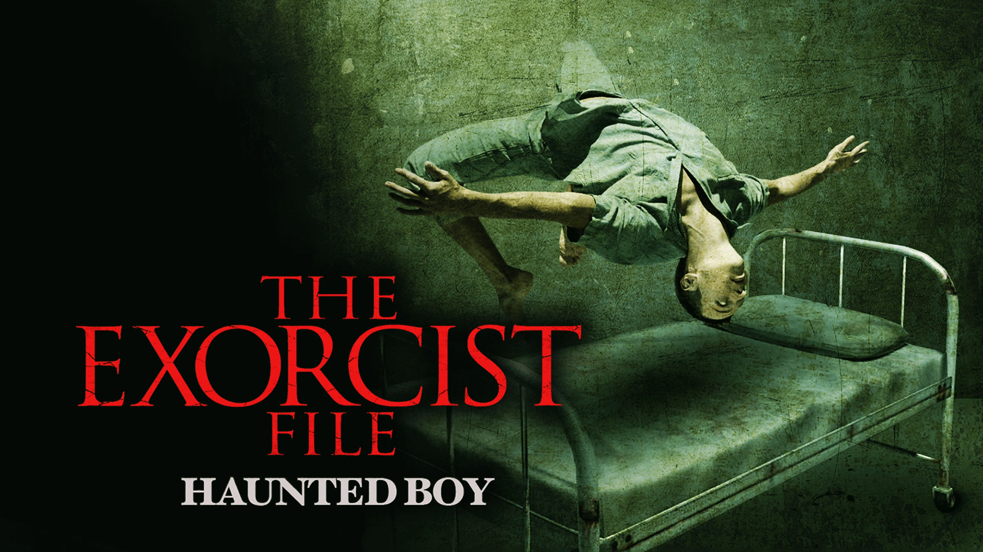 The Exorcist File: Haunted Boy poster